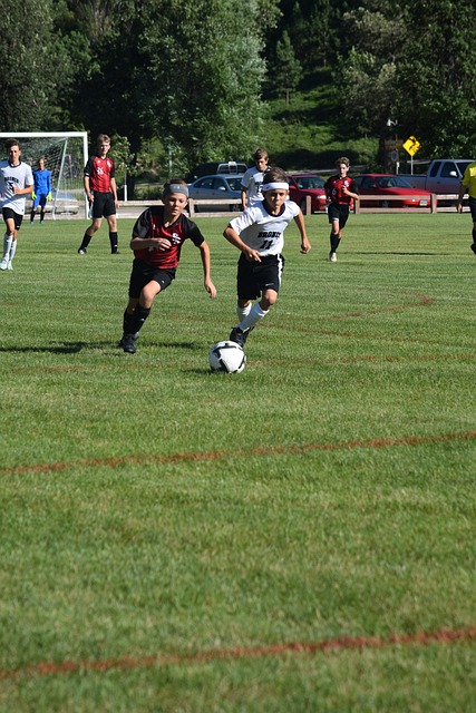 从数据看比 从数据看比