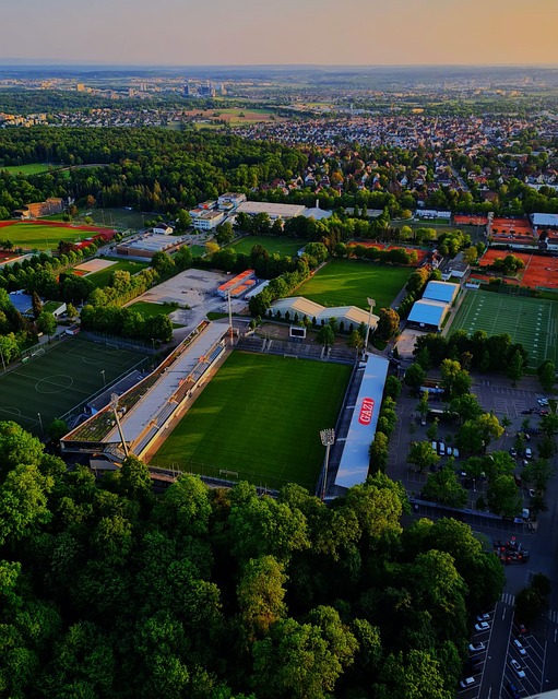 他的個人選 他的個人選